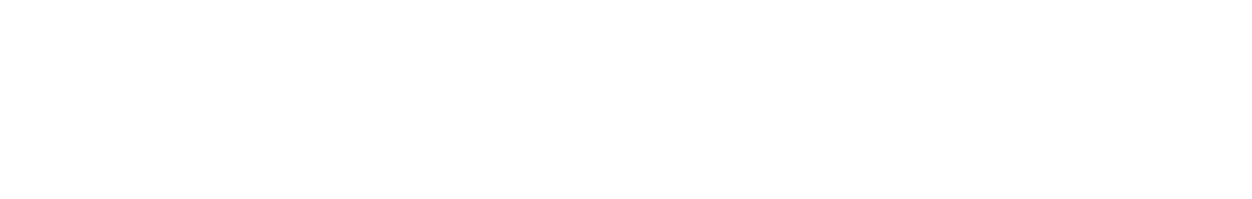MirAudic